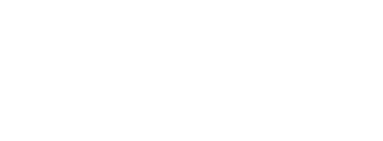RPM Rive-Sud